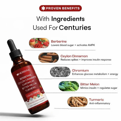 Herbera Berberine Drops